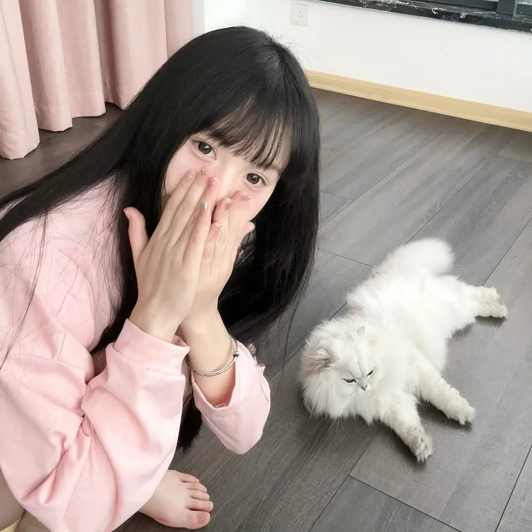 Π情歌